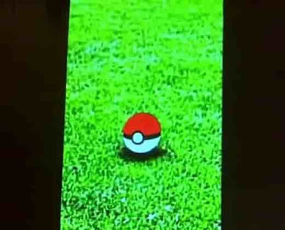 Pokemon Go for PC