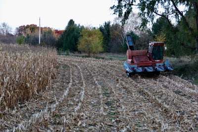 local farm at harvest time