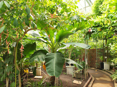√完了しました！ 東京 都 植物園 426339-東京都植物園 小平