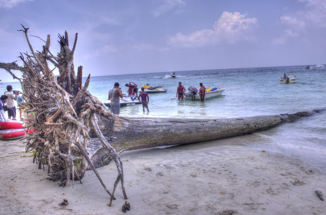 Top Beaches in India Havelock Island