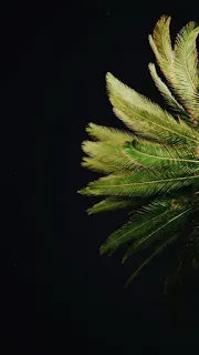 خلفيات, خلفيات فخمة, خلفيات موبايل