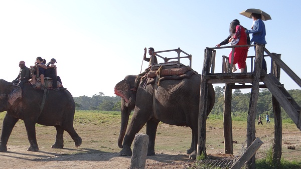 Chitwan national Park Nepal