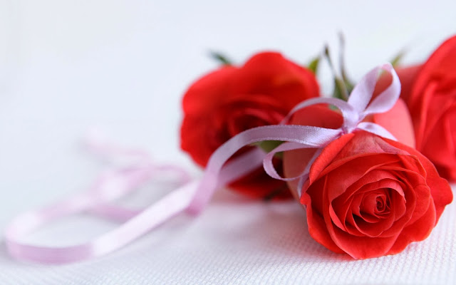 Red Roses Wallpapers