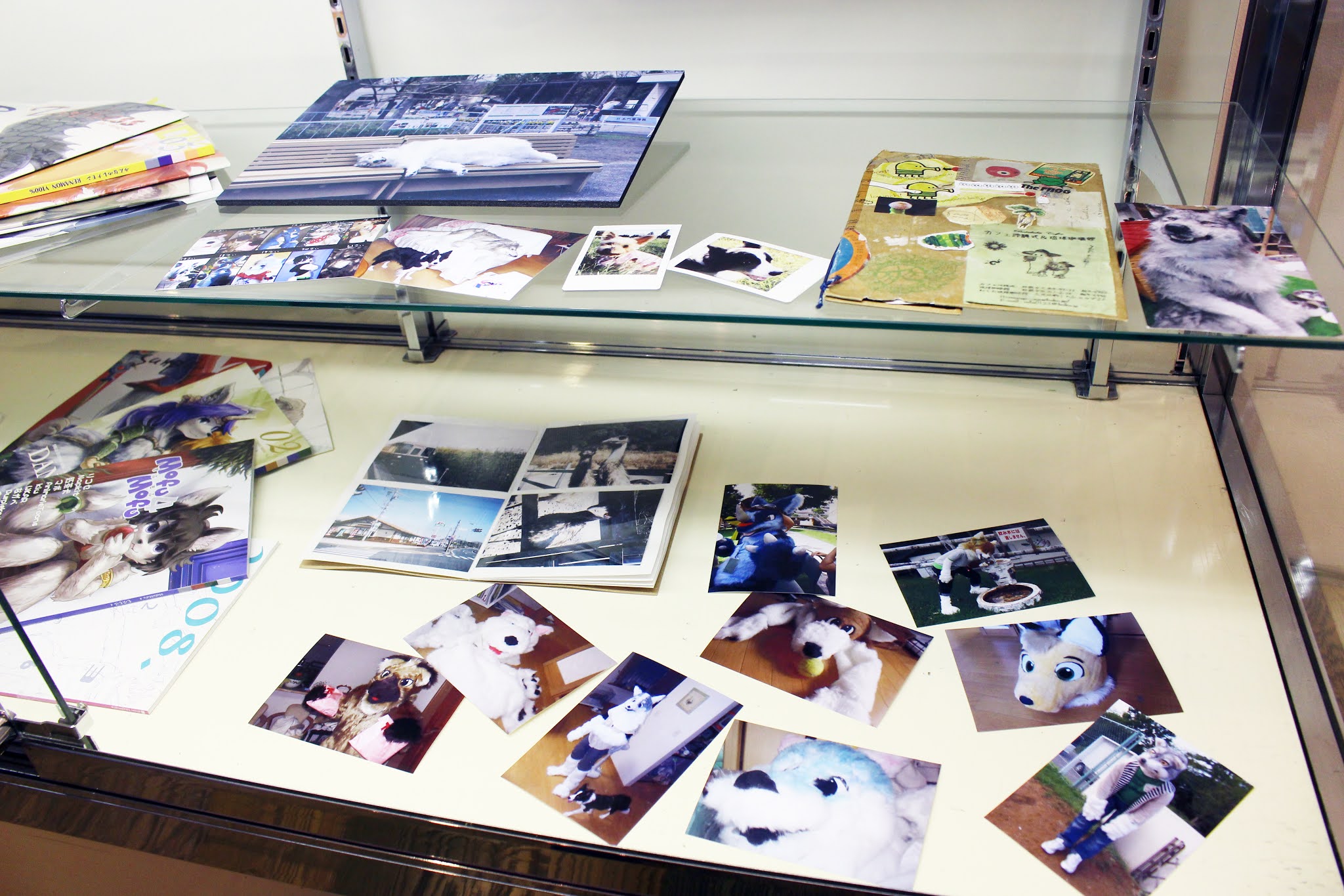 Design Festa Gallery Blog K Line 進化と 深化のケモノ展