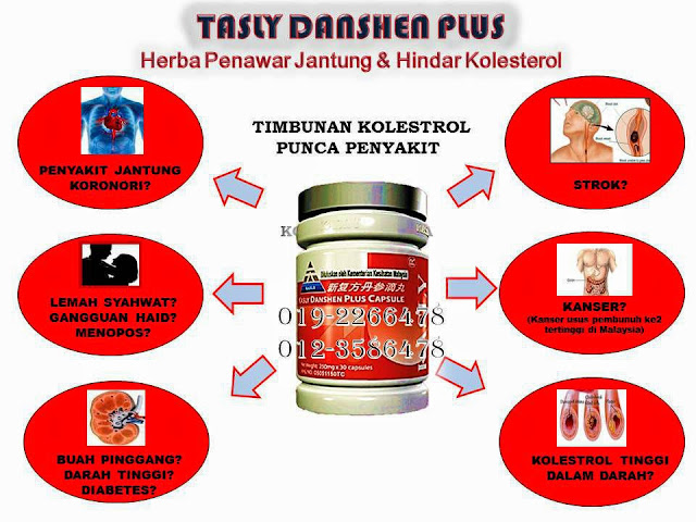 sakit jantung, kolesterol, diabetes, strok