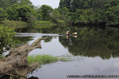 Pesona Keindahan Desa dan Hutan Wisata Buluhcina