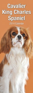 Cavalier King Charles (Slim) 2014 (Calendar 2014) by Avonside Publishing (2013-08-01)