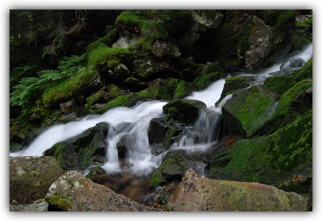 Mountain Stream over Moss-Covered Rocks