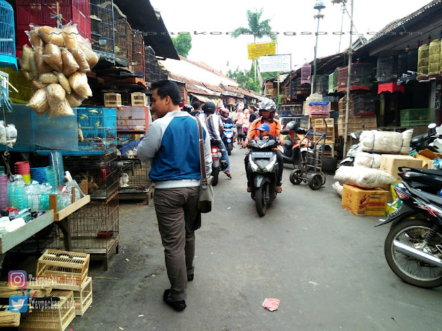 Pasar splendid malang