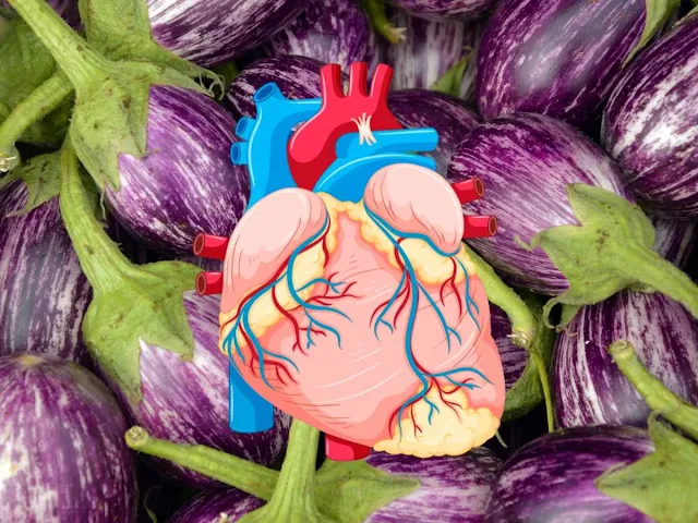 Eggplant is a friend of the heart