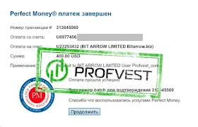 Депозит в Bit Arrow Limited