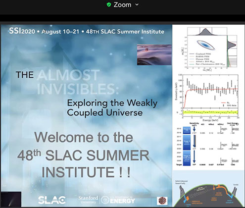 Exploring The Almost Invisibles at 48th SLAC Summer Institute (Source: SLAC)