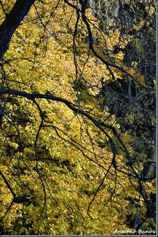 _DSC3073x1