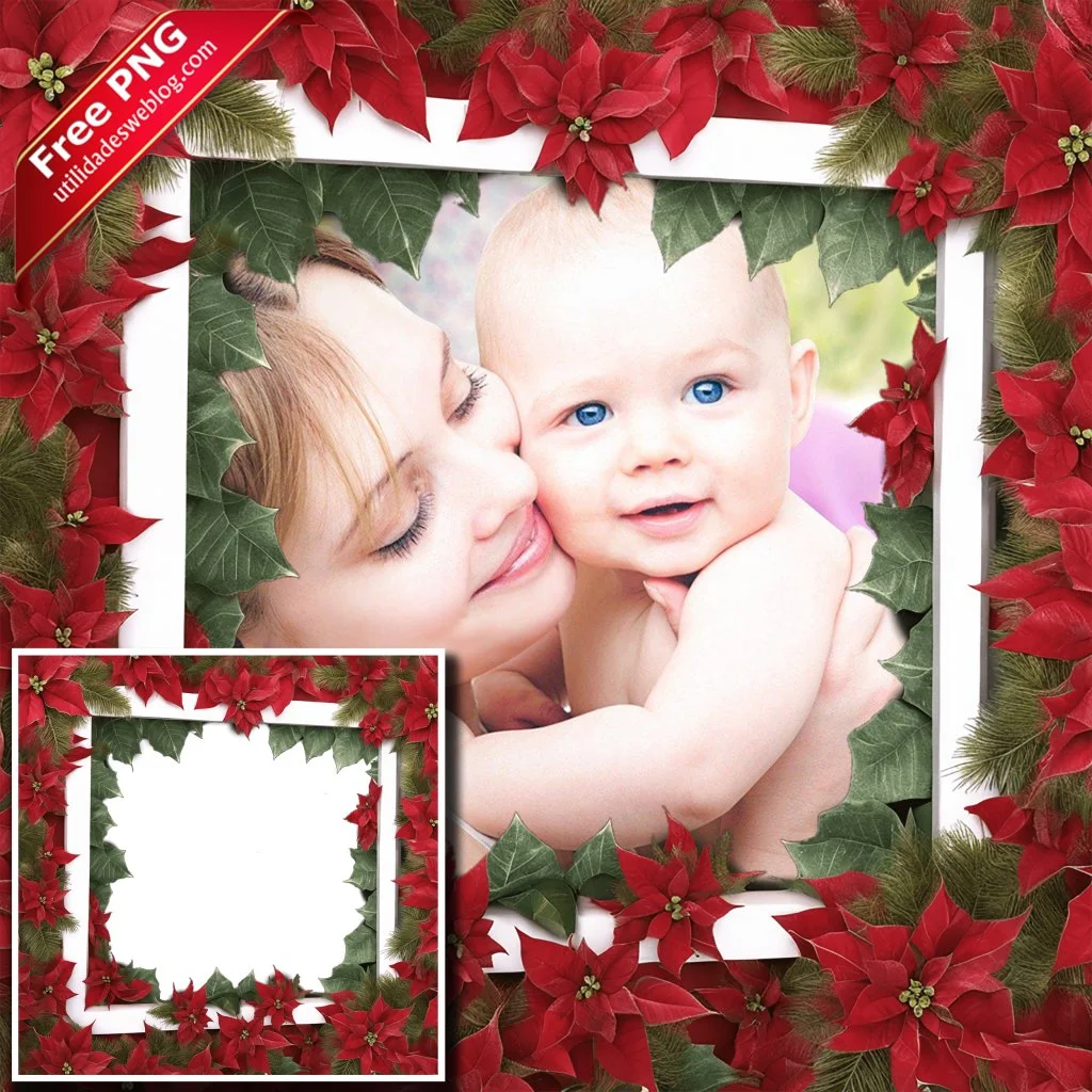 marco para fotos con flores de poinsettia pascuas o noche buena en png con fondo transparente para descargar gratis