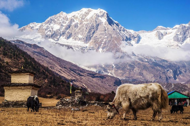 Manaslu Circuit Trek