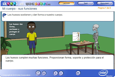 http://ww2.educarchile.cl/UserFiles/P0024/File/skoool/2010/Ciencia/body_frame_functions/