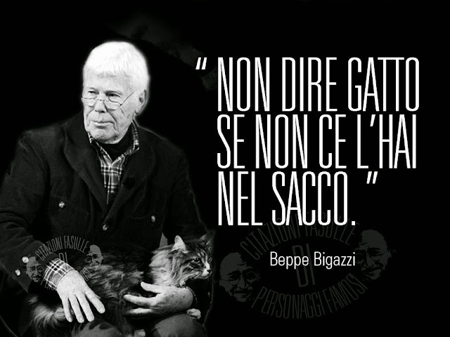 citazioni improbabili bigazzi