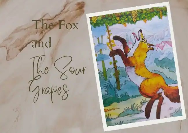 The Fox and Grapes Story