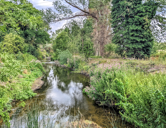 Crossing the River Lea at point 17 in the walk