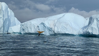 Among the icebergs near Disko Bay, multiple humpback whales were feeding and I caught this one as it dove