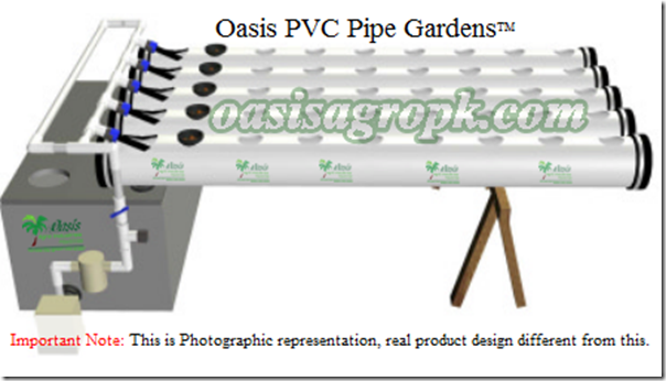 Planning your first Oasis hydroponic garden Planning your first Oasis hydroponic garden
