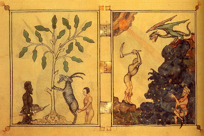 herbário, c.1320, Biblioteca Nacional de Florença