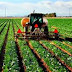 América Latina y el Caribe: Políticas para la agricultura deben fomentar la inclusión de mujeres y jóvenes en el desarrollo