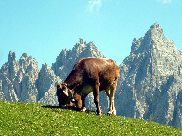 trekking in cadore