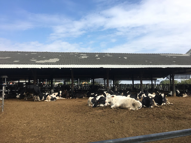 Hejia Ranch 禾家牧場, changhua, taiwan