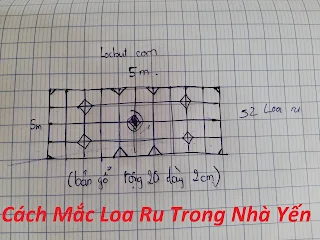 Cách mắc loa ru trong nhà yến - Chim yến việt nam.