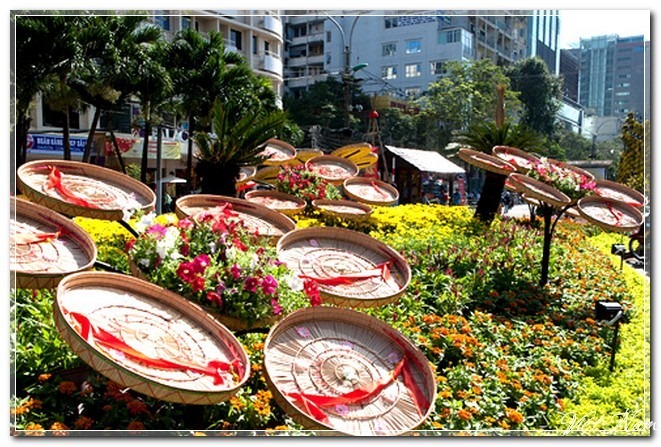 Ảnh đường hoa Nguyễn Huệ qua các năm