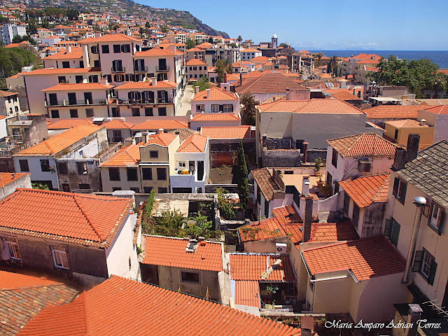 Funchal (Madeira).