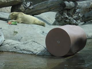 polar bear with polar barrel?