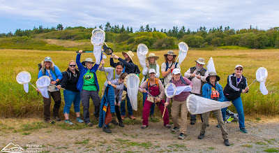 group photo with people swinging insect nets