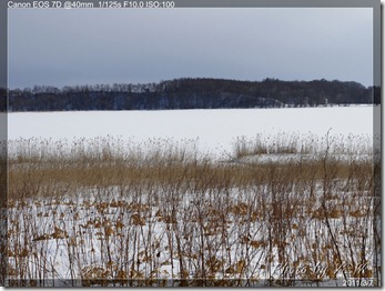 _MG_6860P40