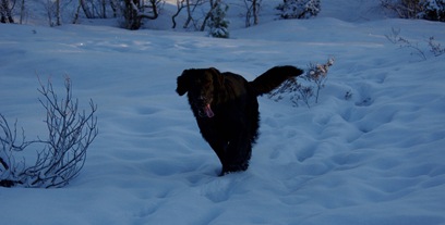 2011_0113januari-110036