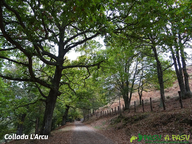 Collada L'Arcu camino a la Xamoca, Sobrescobio