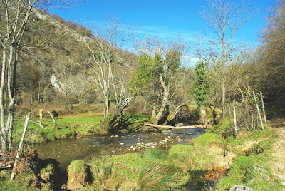 Cangas de Onís, Vega de Orandi