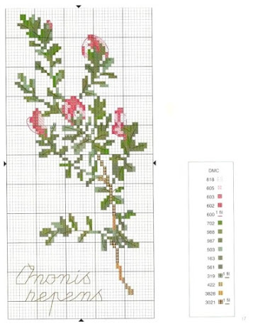 Motivi per punto croce  a tema fiori e spezie