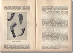C.Monchique-pgs 8,9
