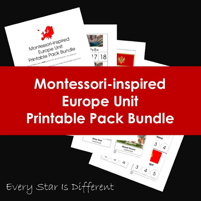 Montessori-inspired Continents Bundle