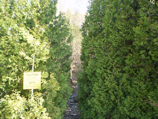 bruce peninsula trail high dump