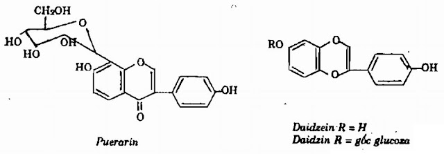 TP hóa học Sắn Dây - Pueraria thomsoni - Nguyên liệu làm thuốc Chữa Cảm Sốt