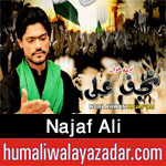 http://www.humaliwalayazadar.com/2017/08/najaf-ali-nohay-2018.html