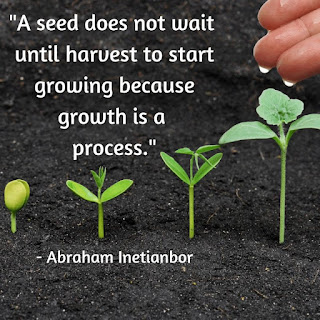 Abraham Inetianbor Growing Seed