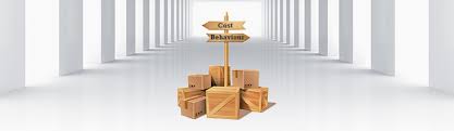 COST BEHAVIOUR