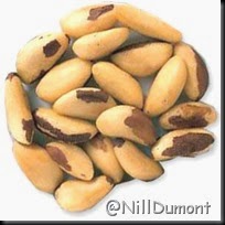 castanhas 01