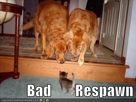 funny images of cats and dogs. Funny Cats and Dogs. Funny Cats and Dogs. Posted by Muhammad Farhan Ali at 