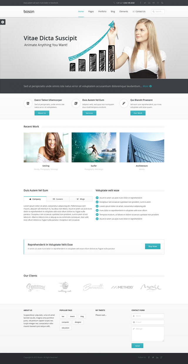 Boson Multipurpose WordPress Responsive Theme 