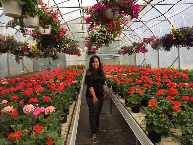 In the greenhouse full of flowers  tracing the paradise